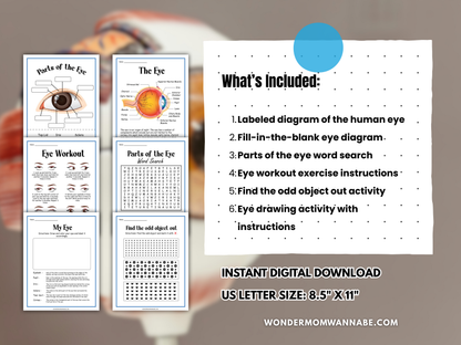 Human Eye Activity Set