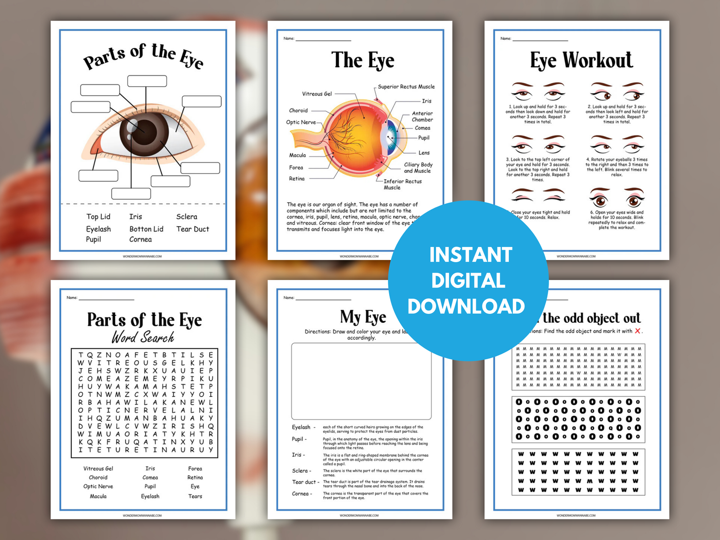 Human Eye Activity Set