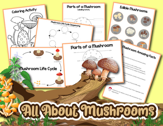 An educational poster from Wondermom Shop titled "Mushroom Activity Set" featuring the mushroom life cycle, parts of a mushroom, edible mushrooms, a coloring activity, and intriguing mushroom facts.
