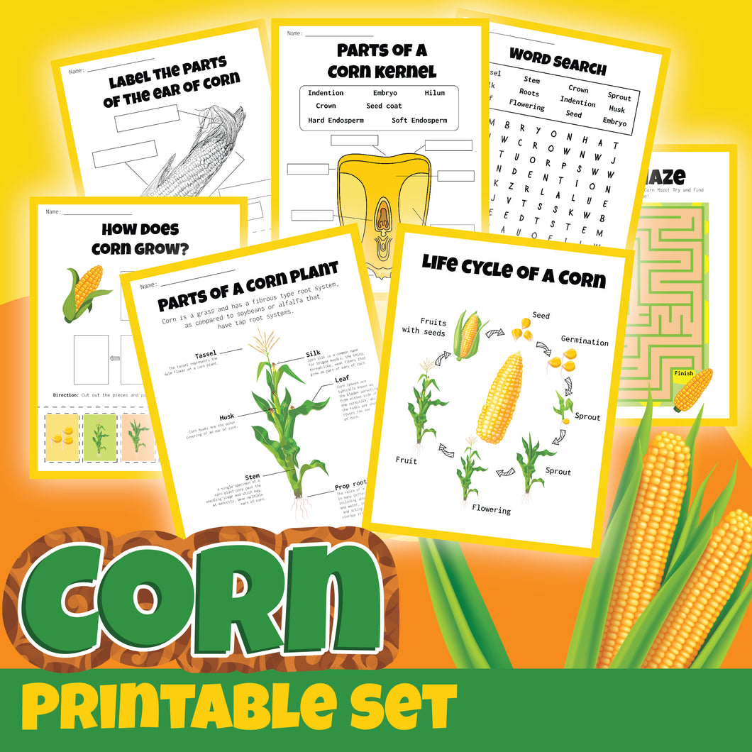 An educational corn activity pack, the Corn Activity Set by Wondermom Shop, includes worksheets on corn anatomy, the life cycle, word search, maze, and growth process. The background is adorned with illustrations of corn and a bold title that reads 