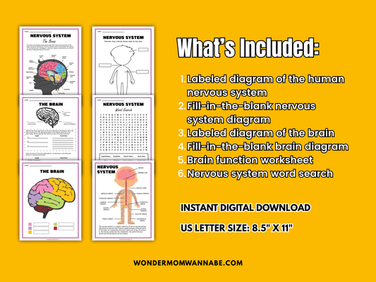 Nervous System Activity Set