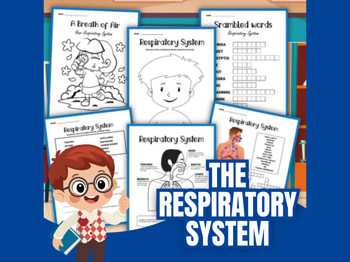 Respiratory System Activity Set