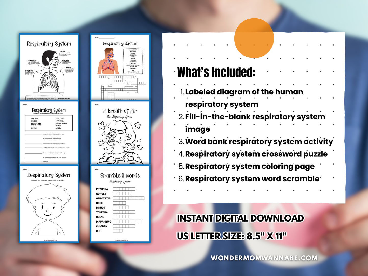 Respiratory System Activity Set