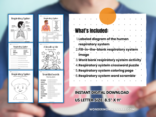 Respiratory System Activity Set