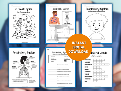 Respiratory System Activity Set