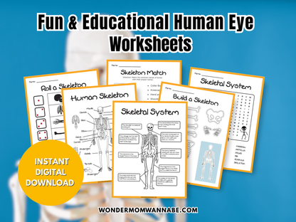 Skeletal System Activity Set