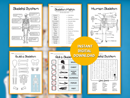 Skeletal System Activity Set