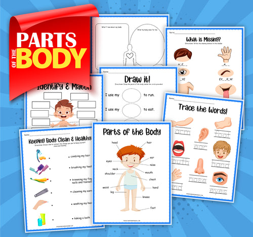 The Parts of the Body Activity Set from Wondermom Shop features educational worksheets for children about body parts, with a focus on body identification. The activities include drawing, identifying, matching, tracing, and health tips. Each worksheet is colorful and illustrated with engaging images and text to promote healthy habits.