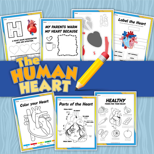 The Heart Activity Set by Wondermom Shop includes educational materials titled 