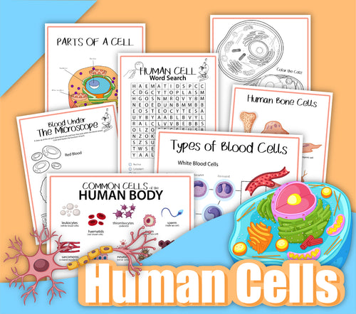 The Human Cells Activity Set from Wondermom Shop includes illustrated educational materials on human cells, featuring worksheets on parts of a cell, blood cells, human bone cells, and a cell word search, all arranged on an orange and blue background. This set also features engaging microscope activities.