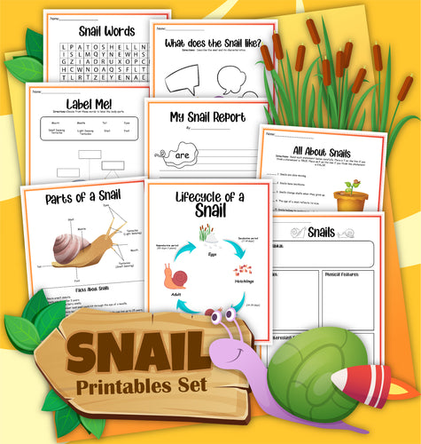 Image showcasing the Snails Activity Set by Wondermom Shop, featuring educational printables such as labeling snail anatomy, lifecycle stages, and identifying snail features, all displayed on a vibrant yellow background.