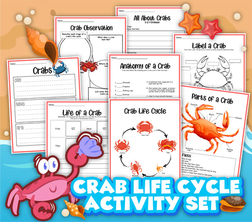 The Crab Activity Set from Wondermom Shop covers the crab life cycle with worksheets on anatomy, life stages, parts of a crab, observation notes, and labeling exercises, all illustrated with a fun cartoon crab figure.