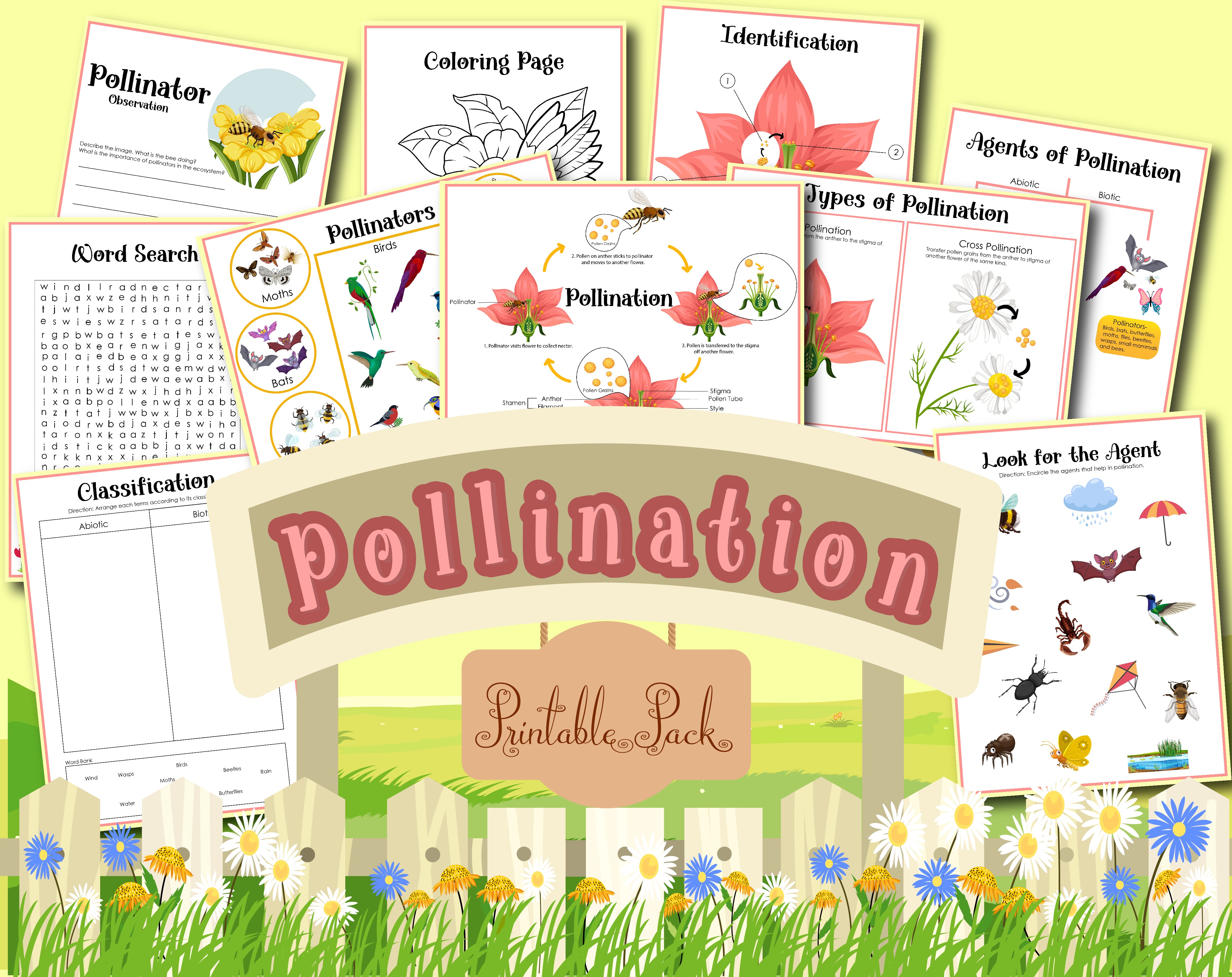Pollination Activity Set – Wondermom Shop