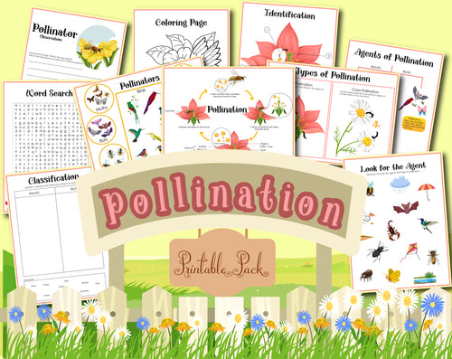 The Wondermom Shop Pollination Activity Set is an educational pack that features worksheets including a word search, coloring page, parts of a flower identification, agents of pollination, and classification, all beautifully displayed on a background with flowers and a fence.