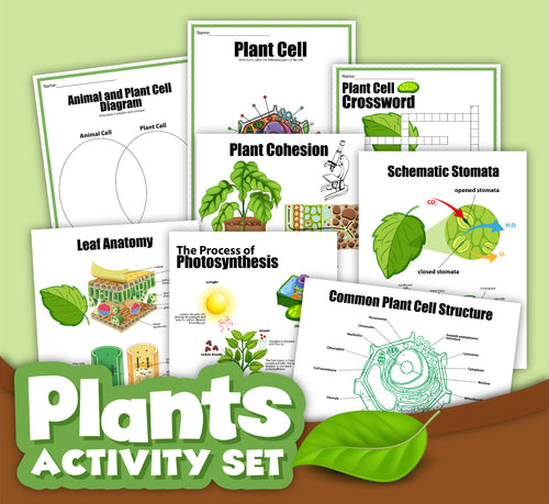 The Wondermom Shop's Plant Cell Activity Set is a collection of illustrated worksheets for children about plants, featuring detailed plant cell anatomy and processes like photosynthesis. This activity set includes engaging photosynthesis activities, crosswords, and schematic drawings to enhance learning.