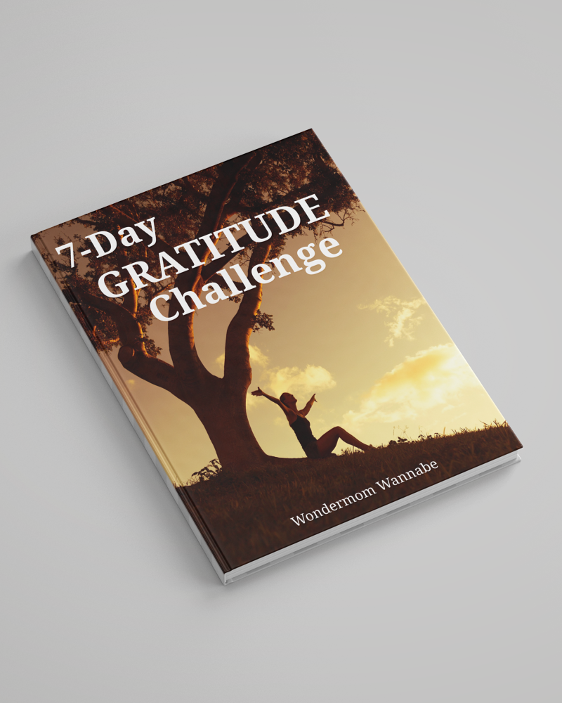 7-Day Gratitude Journal Ebook