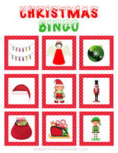 Load image into Gallery viewer, Santa Activity Kit for Kids
