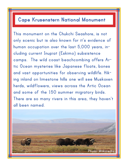 Alaska Activity Kit from Wondermom Shop includes an informational sign about Cape Krusenstern National Monument, detailing its natural and cultural significance. The sign features a captivating photo of muskoxen and various birds, and is bordered in a vibrant red, blue, and yellow frame that encapsulates the essence of Alaska national parks.