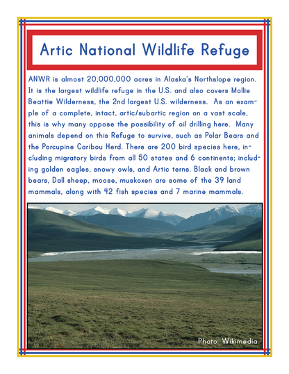 Discover the wonders of the Arctic National Wildlife Refuge with our Alaska Activity Kit by Wondermom Shop! This kit features an informational poster about one of Alaska's most renowned parks, highlighting its vast size, rich wildlife diversity, and ongoing efforts to combat oil drilling. Plus, enjoy a scenic photo of a breathtaking mountainous landscape included at the bottom of the poster.