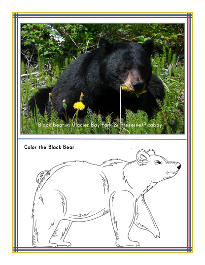 Alaska Activity Kit