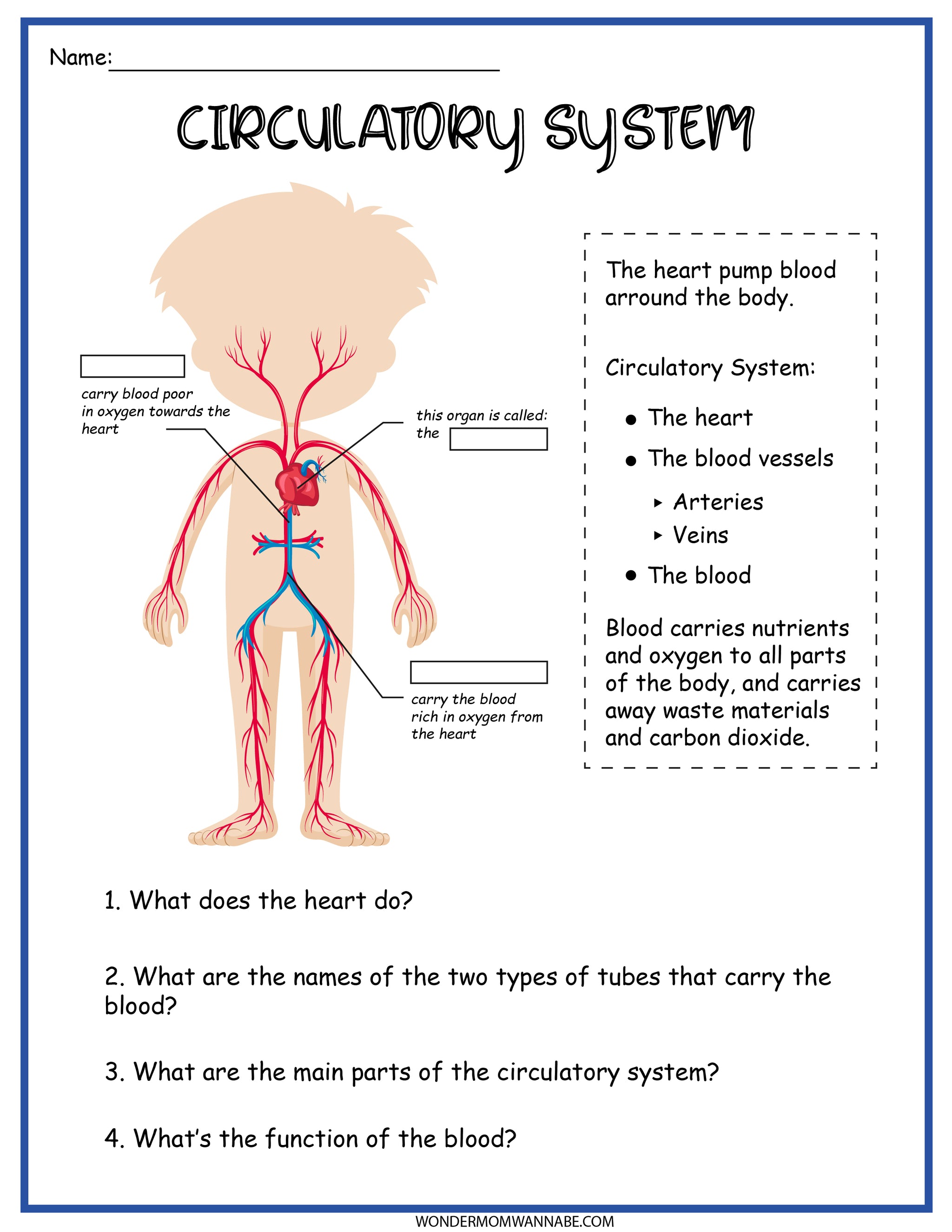 Human Circulatory System Worksheets Middle School Circulatory System