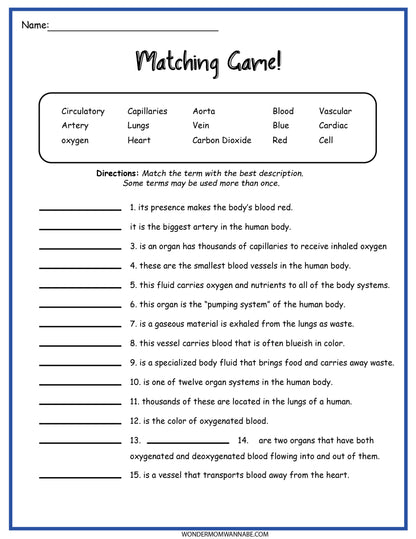 A Circulatory System Activity Set with the words matching carnivores and carnivores, by Wondermom Shop.