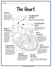 Load image into Gallery viewer, The Circulatory System Activity Set with the parts of the heart from Wondermom Shop.
