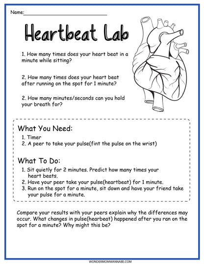 Wondermom Shop's Circulatory System Activity Set is the heartbeat lab worksheet.