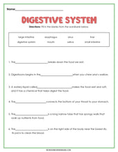 Load image into Gallery viewer, Digestive System Activity Set
