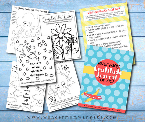 A set of VIP Vault Gratitude Journal for Kids with the words 'everyday gratitude for you'.