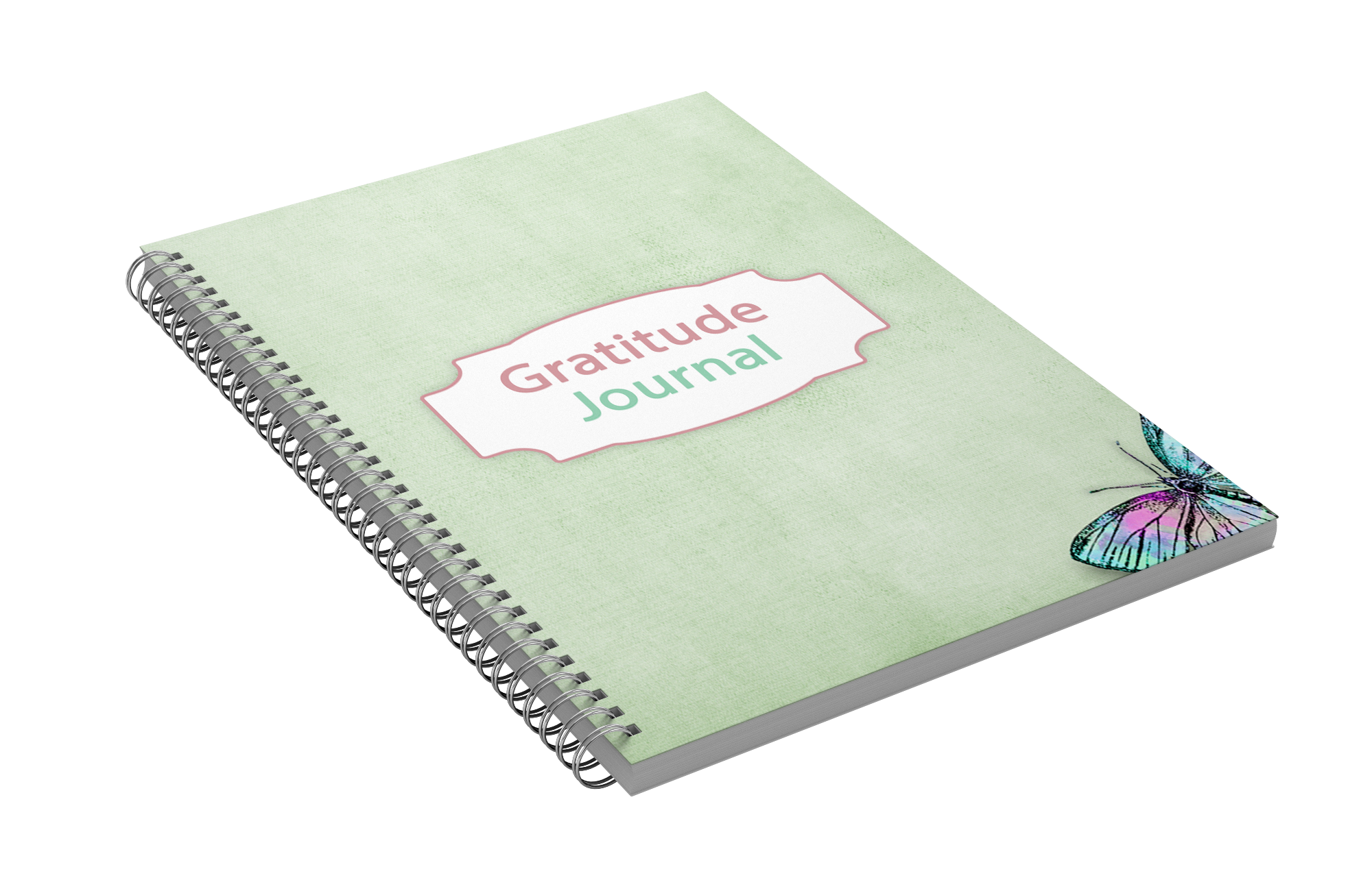 Gratitude Journal (30 Days of Gratitude Workbook) – Wondermom Shop