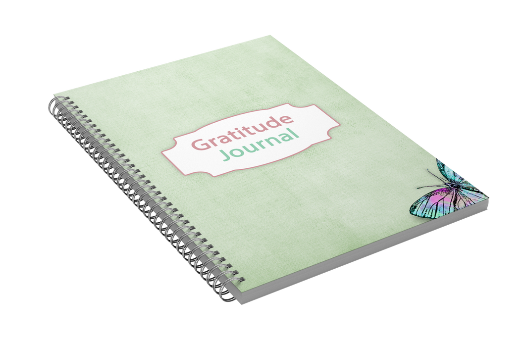 Gratitude Journal (30 Days of Gratitude Workbook)