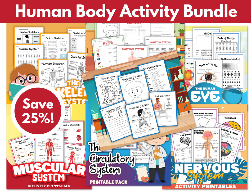 Human Body Activity Bundle