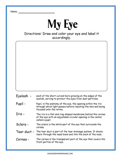 The "Human Eye Activity Set" by Wondermom Shop offers a fun and engaging activity where you can draw and color your eye, labeling it with terms like Eyelash, Pupil, Iris, Sclera, Tear duct, and Cornea. Perfect for educational activities!