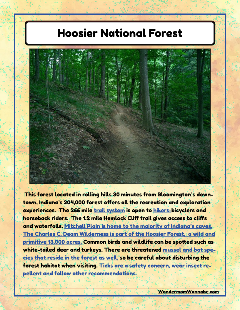 Indiana Travel Guide and Activity Kit for Kids