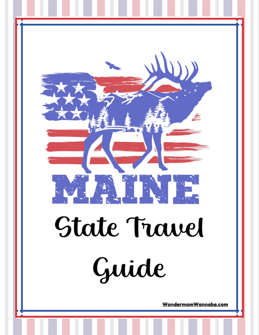 Cover of the "Maine Travel Guide and Activity Kit for Kids" by Wondermom Shop, featuring an illustration of a moose with trees and an American flag background, offering comprehensive Maine information.