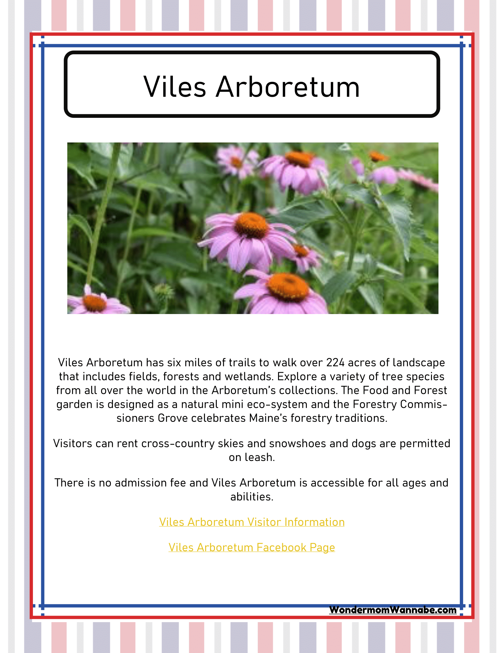 Discover the Viles Arboretum with the Maine Travel Guide and Activity Kit for Kids by Wondermom Shop! This vibrant poster includes details about trails, gardens, and accessibility, inviting families to explore diverse landscapes and activities in Maine. Featured on the poster is a beautiful photo of coneflowers to captivate your interest.