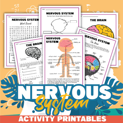 The Nervous System Activity Set by Wondermom Shop includes brain diagram worksheets, a word search, and educational activities, all with colorful backgrounds and decorative elements to inspire learning.