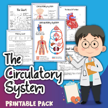 An illustration of a doctor figure with glasses in front of worksheets featuring the circulatory system, titled "Human Body Activity Bundle" by Wondermom Shop, provides engaging educational activities about the human body.