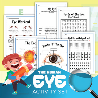 The image showcases the "Human Body Activity Bundle" from Wondermom Shop, a children's educational set centered on the human eye. It features worksheets that explain the parts of the eye, interactive exercises, word searches, and a charming illustration of a child with a giant pencil. This bundle is perfect for young learners!