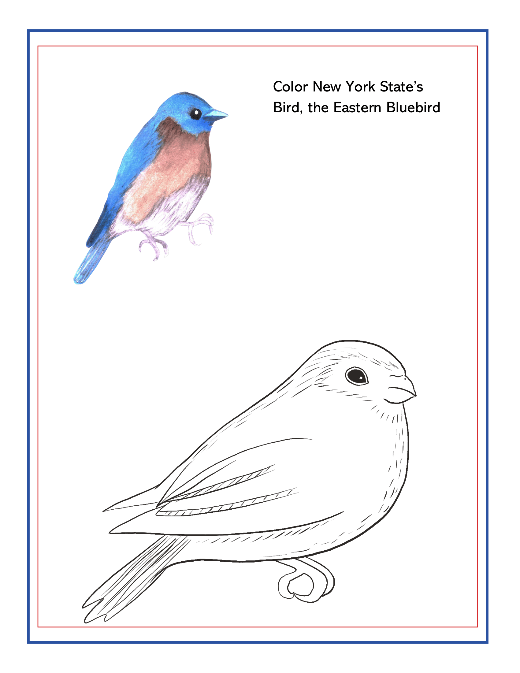 An illustration featuring a colored image of an Eastern Bluebird and an outlined version below it for coloring. Text reads: "Color New York State's Bird, the Eastern Bluebird." Perfect for the Wondermom Shop’s Upstate New York Travel Guide and Activity Kit for Kids.