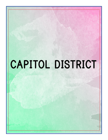 Text "CAPITOL DISTRICT" on a gradient background of green, white, and pink with a thin multi-colored frame, inspired by the vibrant landscapes featured in the Upstate New York Travel Guide and Activity Kit for Kids from Wondermom Shop.