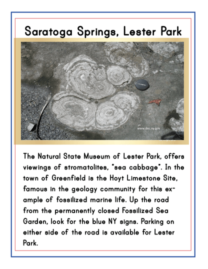 Upstate New York Travel Guide and Activity Kit for Kids