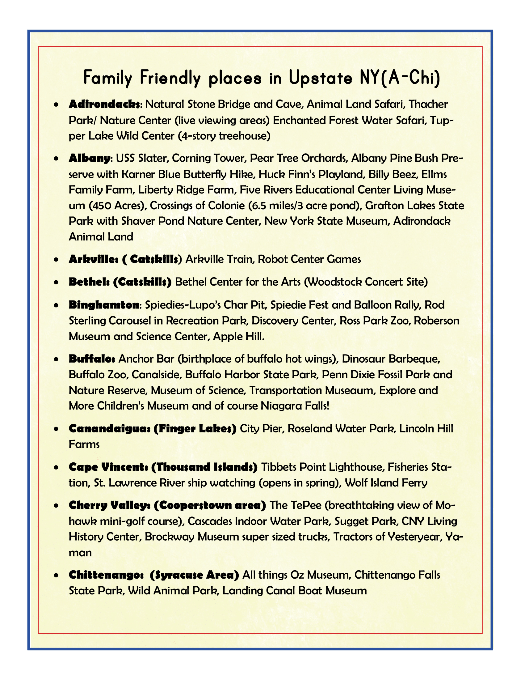 The "Upstate New York Travel Guide and Activity Kit for Kids" by Wondermom Shop features a list titled "Family Friendly places in Upstate New York (A-Chi)" with attractions in locations such as the Adirondacks, Albany, and Auburn. Discover natural parks, museums, safaris, and historical sites in this essential travel guide designed for every family adventure.