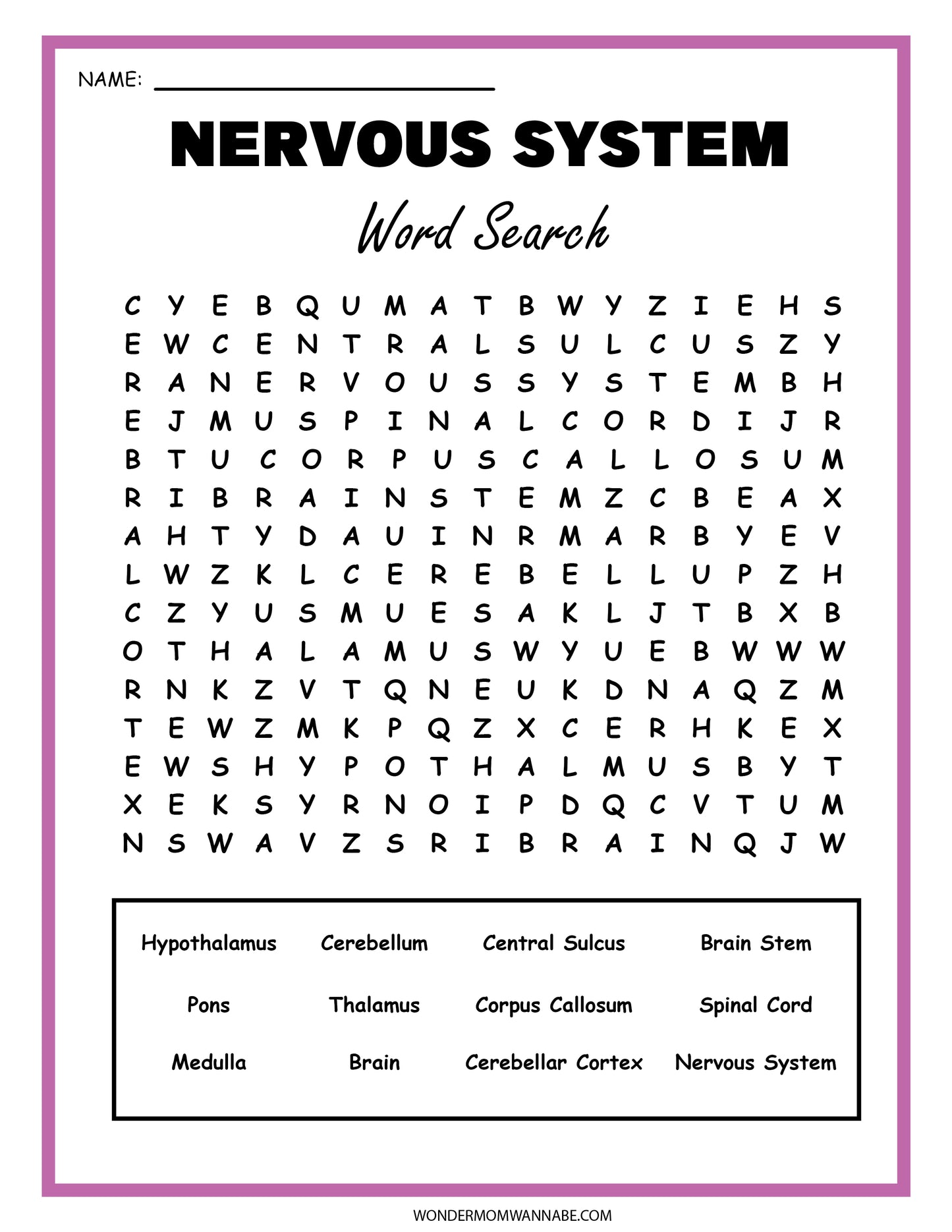 Explore the Nervous System Activity Set by Wondermom Shop! Engage in a word search featuring terms like hypothalamus, cerebellum, and spinal cord. Enhance your knowledge with this educational tool alongside a detailed brain diagram.
