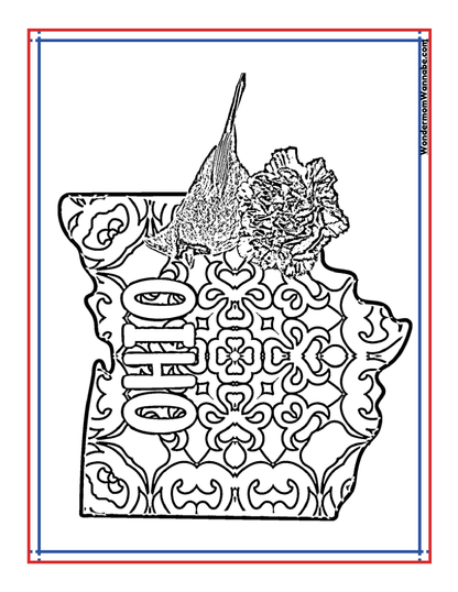 Experience the Ohio Travel Guide and Activity Kit for Kids by Wondermom Shop, featuring an outline of the state of Ohio adorned with a cardinal and a carnation flower set against a patterned backdrop, all encased in a red and blue bordered frame—ideal for creating your personalized Ohio state coloring pages.