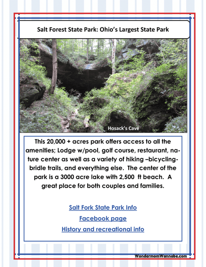 Flyer for Salt Forest State Park, Ohio's largest state park, highlighting amenities like a lodge with a pool, a golf course, and a nature center. The park features a 3000-acre lake and trails. For extra fun, pick up an Ohio Travel Guide and Activity Kit for Kids from Wondermom Shop or grab some coloring pages at the visitor center!