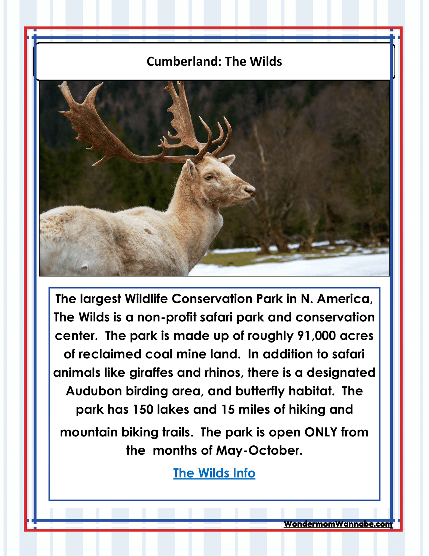 Discover Cumberland: The Wilds, a sprawling wildlife conservation park in North America. This informative poster showcases a close-up of a majestic deer with antlers. Perfect for planning your visit, explore our Ohio Travel Guide and Activity Kit for Kids by Wondermom Shop and Cleveland visitor information to enrich your experience.