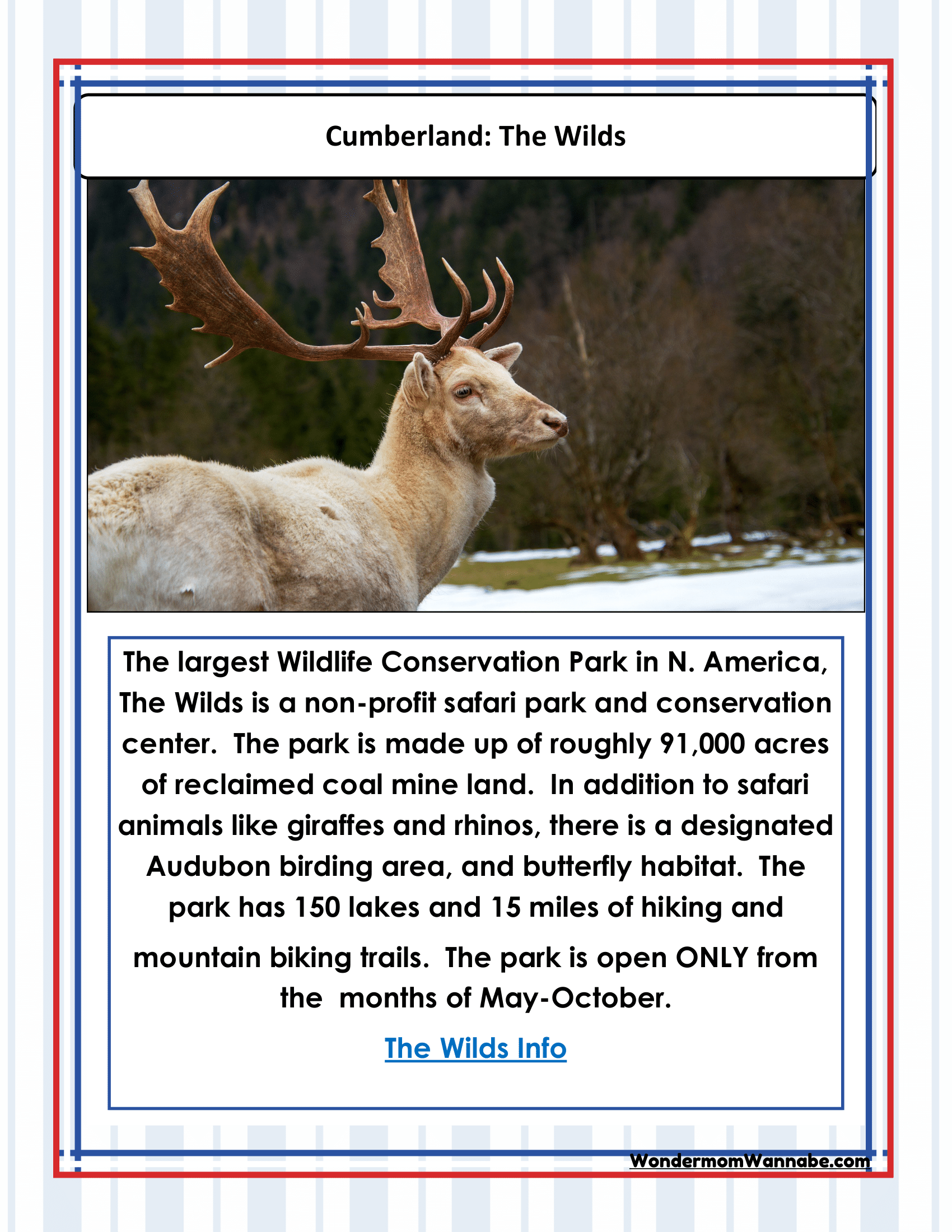 Discover Cumberland: The Wilds, a sprawling wildlife conservation park in North America. This informative poster showcases a close-up of a majestic deer with antlers. Perfect for planning your visit, explore our Ohio Travel Guide and Activity Kit for Kids by Wondermom Shop and Cleveland visitor information to enrich your experience.