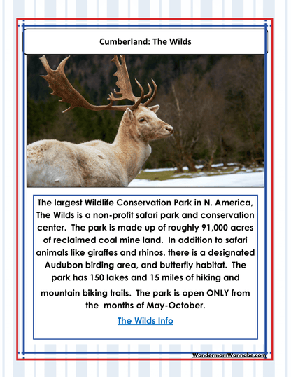 Discover Cumberland: The Wilds, a sprawling wildlife conservation park in North America. This informative poster showcases a close-up of a majestic deer with antlers. Perfect for planning your visit, explore our Ohio Travel Guide and Activity Kit for Kids by Wondermom Shop and Cleveland visitor information to enrich your experience.